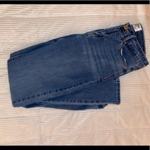 Denizen by Levi’s High Rise Skinny Jean